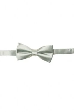 Baby Boys Henry Bow Tie In Sage -Ivy City Co BabyBoyBowTies sage 687413
