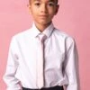 Boys Max Tie In Blush -Ivy City Co Blush 921079