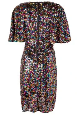 Confetti Dress - FINAL SALE -Ivy City Co ConfettiDress back 218844