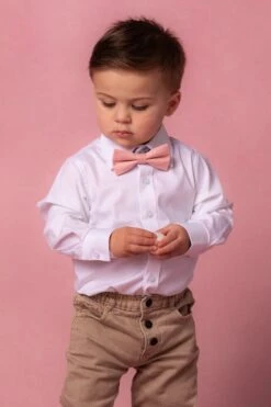 Baby Boys Henry Bow Tie In Spring Pink -Ivy City Co PinkTies Studio Easter 2 945935