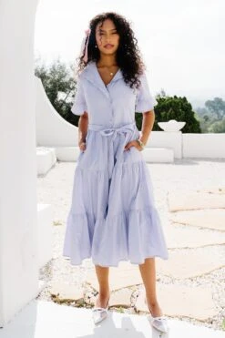 Sutton Dress In Pinstripe -Ivy City Co SuttonStripe 5