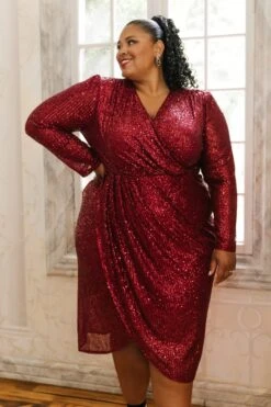 Starstruck Dress In Wine - FINAL SALE -Ivy City Co WEB 5664 233787