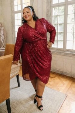 Starstruck Dress In Wine - FINAL SALE -Ivy City Co WEB 5675 825937