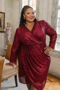 Starstruck Dress In Wine - FINAL SALE -Ivy City Co WEB 5676 151975