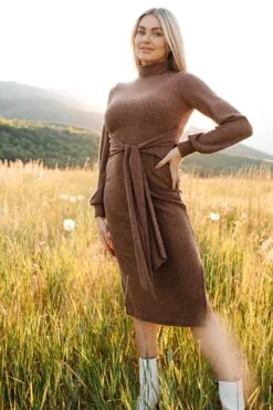 Jensen Dress In Mocha - FINAL SALE