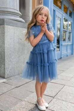 Mini Anastasia Dress In Tufts Blue - FINAL SALE -Ivy City Co anastasia momandme 0116