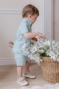 Boys James Shorts 5 Boys James Shorts -Ivy City Co boysjames 02 0c900a66 1698 4213 953b 9b2d50ee4b3b 464674