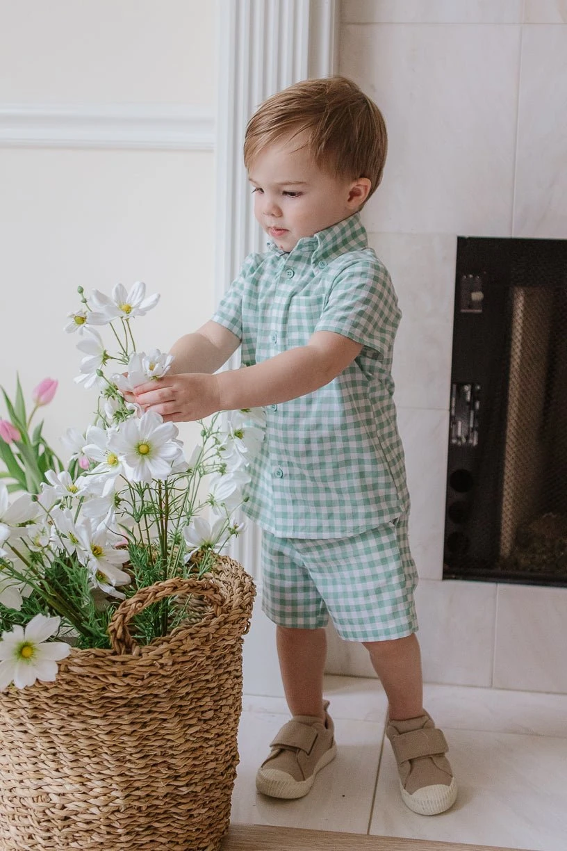 Boys James Shorts Boys James Shorts -Ivy City Co boysjames 06 a7af9118 df9b 463b 96ee 856451343245 664184