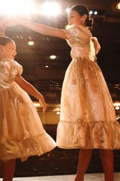 Coco Dress In Gold - FINAL SALE -Ivy City Co cocogoldfix 4 988941