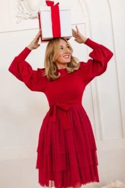 Short Cosette Dress In Red - FINAL SALE -Ivy City Co cosetteshortred 14 144783