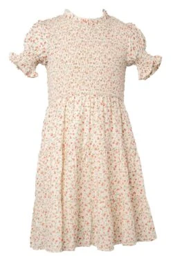Mini Delia Dress In Ditsy Floral -Ivy City Co deliaditsy minifront 688568