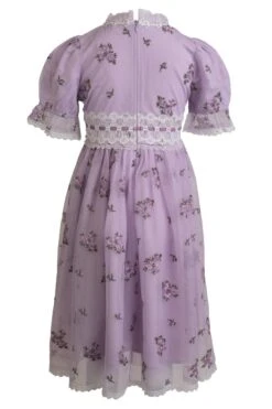 Mini Elsie Dress -Ivy City Co elsie mini back 566479