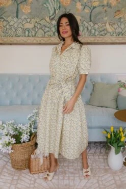 Genevieve Dress -Ivy City Co genevive 18 561539