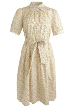 Genevieve Dress -Ivy City Co genevive front 682183