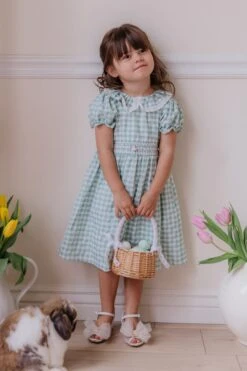 Mini Lottie Dress 8 Mini Lottie Dress -Ivy City Co lottie 3 204633