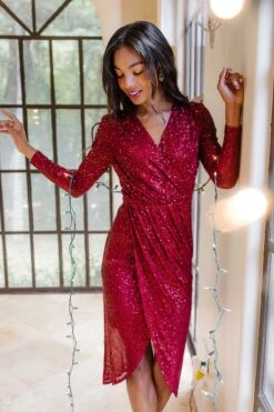 Starstruck Dress In Wine - FINAL SALE -Ivy City Co starstruck wine 1 945792