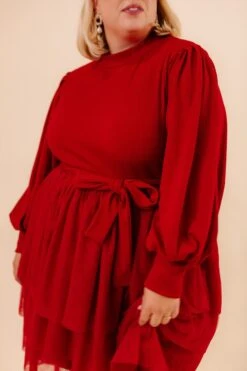 Short Cosette Dress In Red - FINAL SALE -Ivy City Co studio 024 382071
