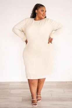 Cher Dress - FINAL SALE -Ivy City Co web cher 11