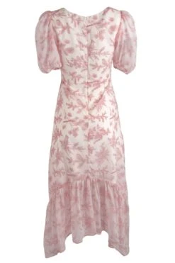 Wren Dress In Pink Toile - FINAL SALE -Ivy City Co wren pink back 719170